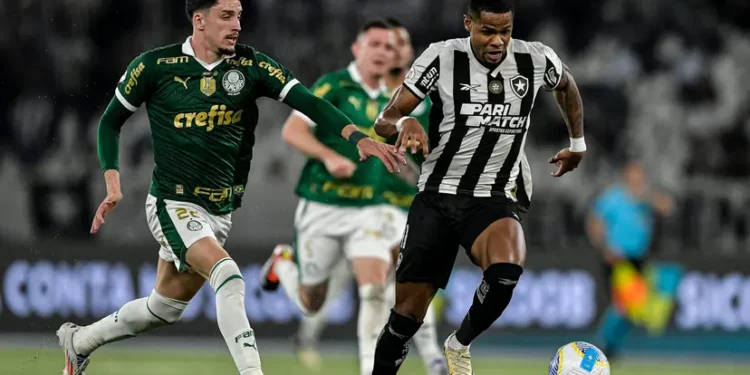 5 razões para o Botafogo acreditar na vitória contra o Palmeiras e retomar a liderança