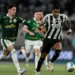 5 razões para o Botafogo acreditar na vitória contra o Palmeiras e retomar a liderança
