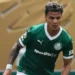 Inter de Milão observa Richard Ríos, destaque do Palmeiras no Mundial de Clubes
